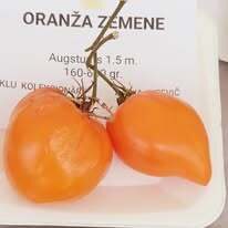 Oranža zemene