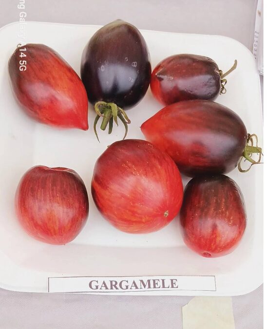 Gargamele