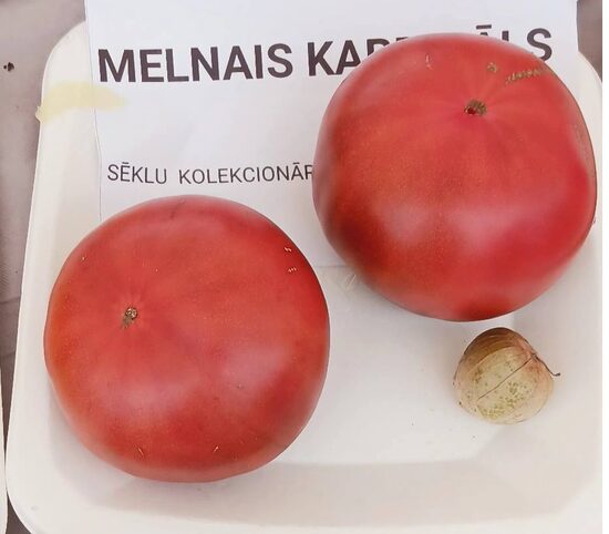 Melnais Kardināls