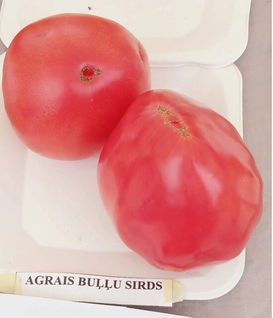 Agrais buļļu sirds