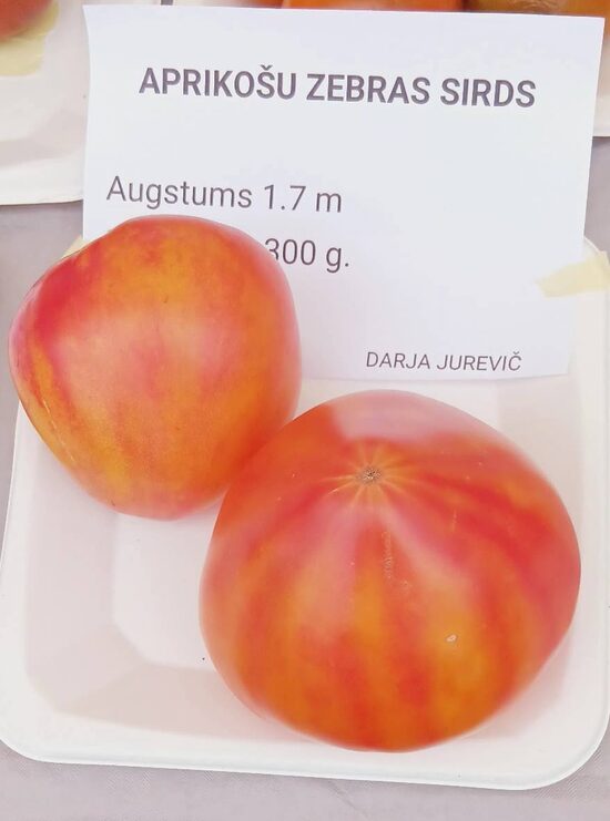 Aprikošu zebras sirds