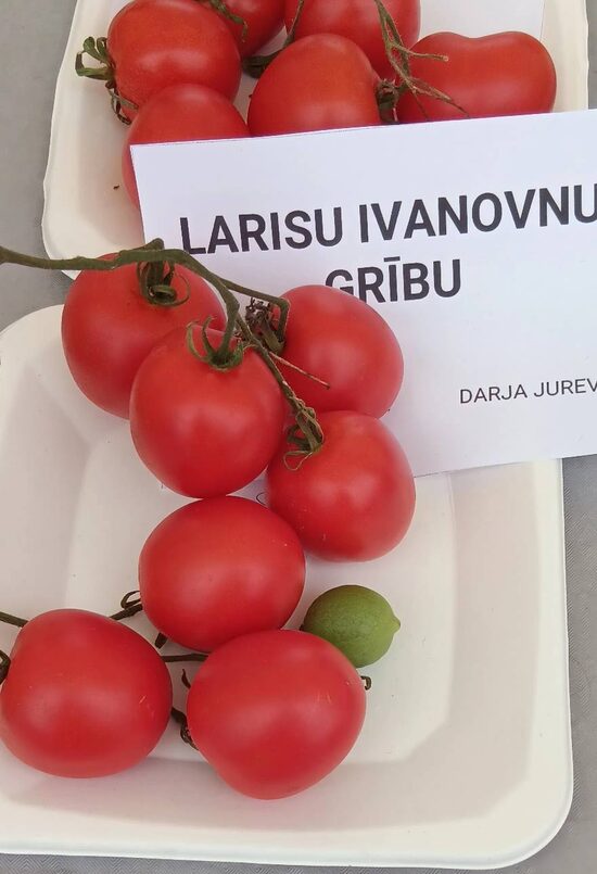 Larisu Ivanovnu Gribu