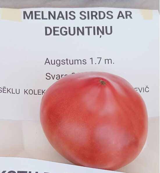 Melnais sirds ar deguntiņu
