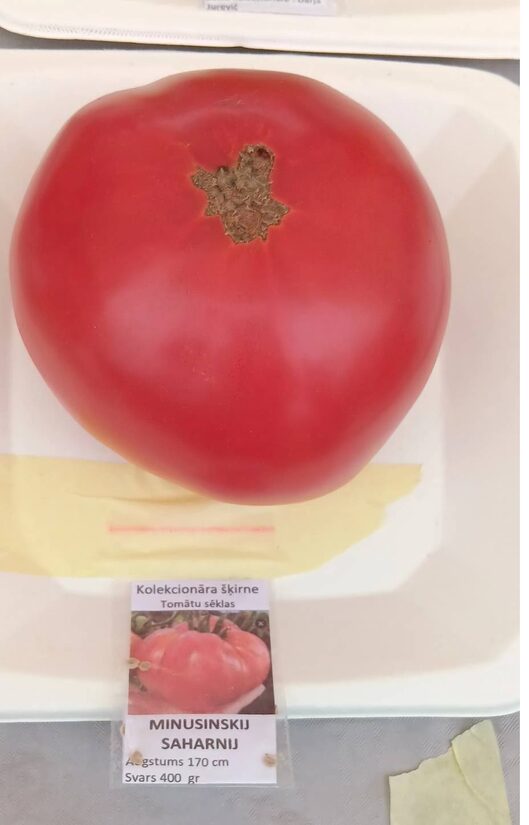 Minusinskij saharnij