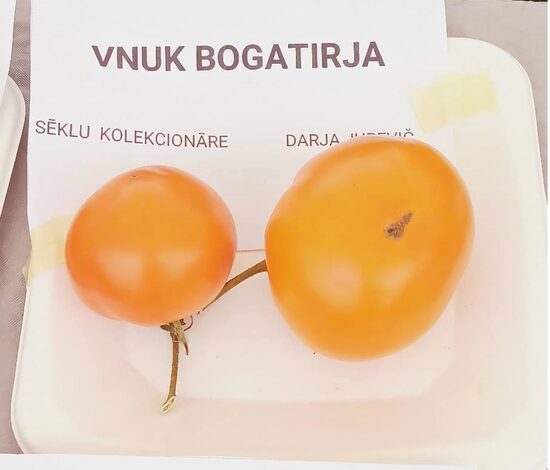 VNUK BOGATIRJA